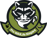 view listing for Pro Wildlife Niagara