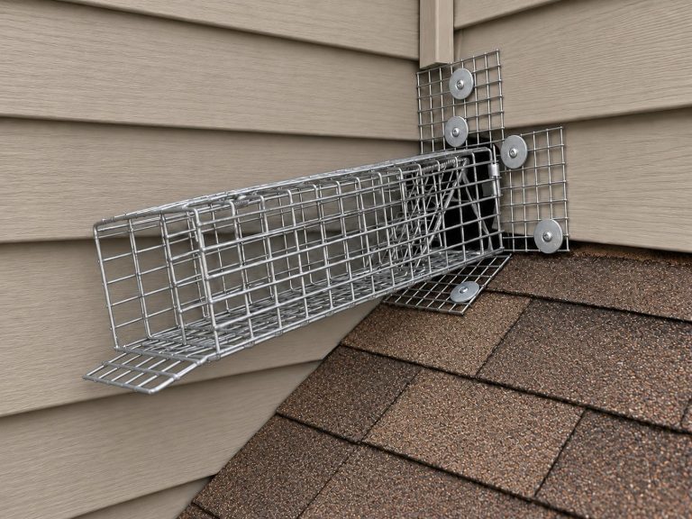 A one-way door for squirrels installed on a house.